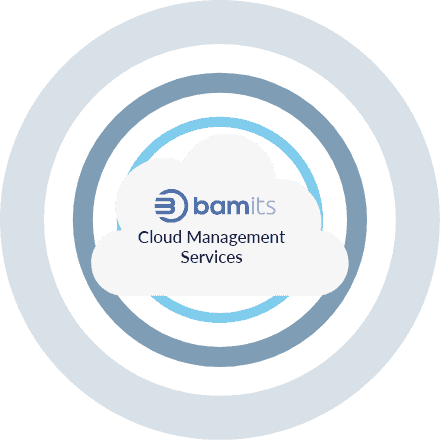 Managed Cloud | BAMITS